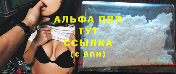 прущие грибы Новозыбков