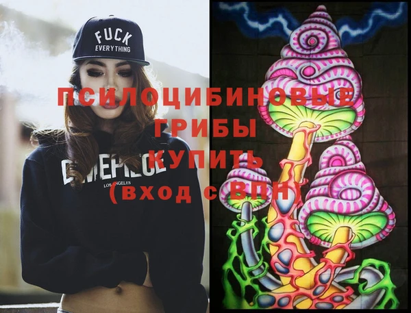крисы Болотное