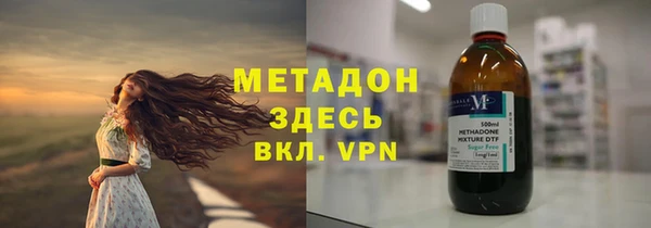 прущие грибы Новозыбков