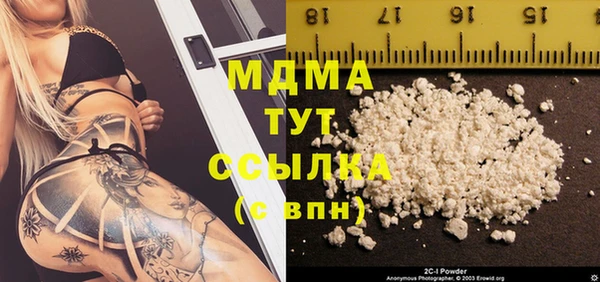 прущие грибы Новозыбков