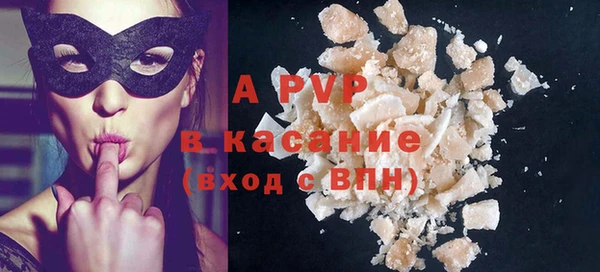 прущие грибы Новозыбков