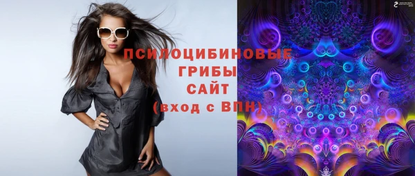 мдпв Новокубанск