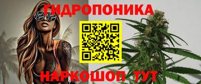 ECSTASY Гусь-Хрустальный