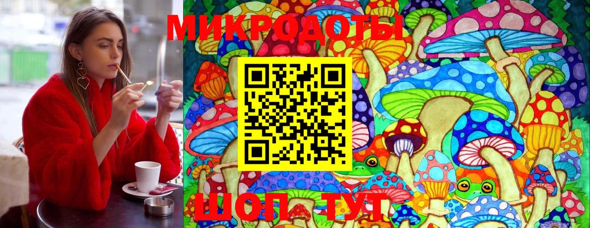 Псилоцибиновые грибы прущие грибы Калач-на-Дону