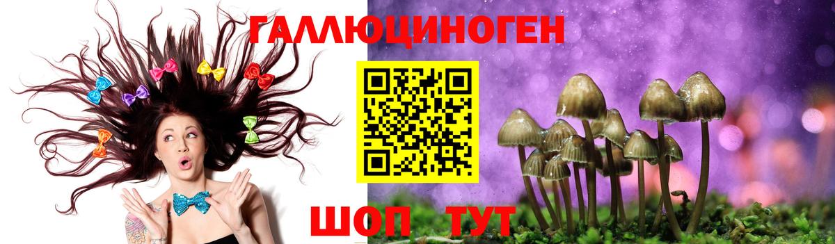 Калач-на-Дону  Псилоцибиновые грибы GOLDEN TEACHER  Галлюциногенные грибы Psilocybine cubensis  Вход с VPN 